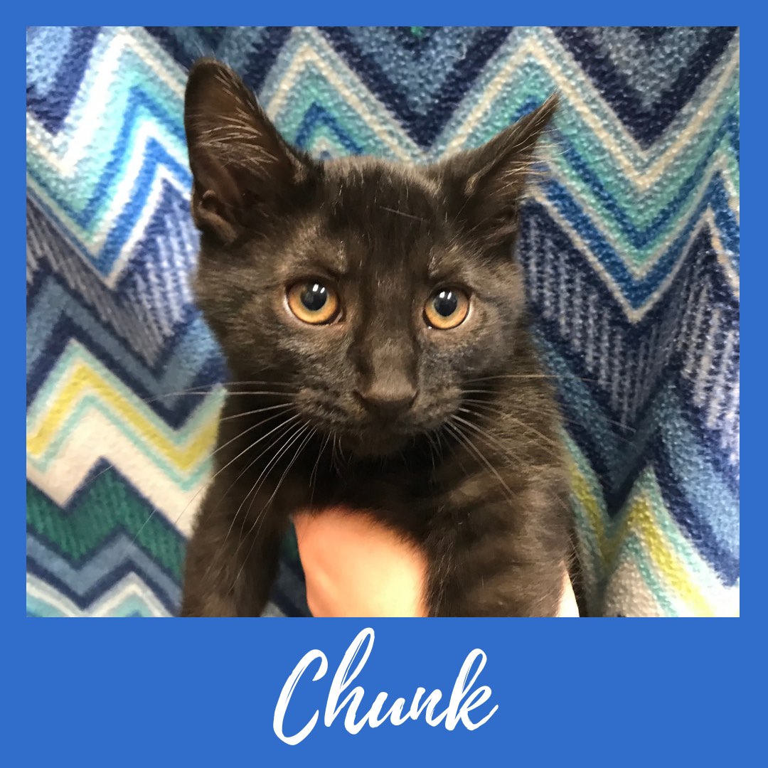 Chunk