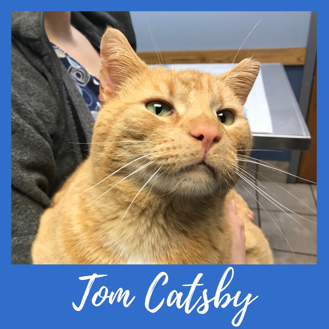 Tom Catsby