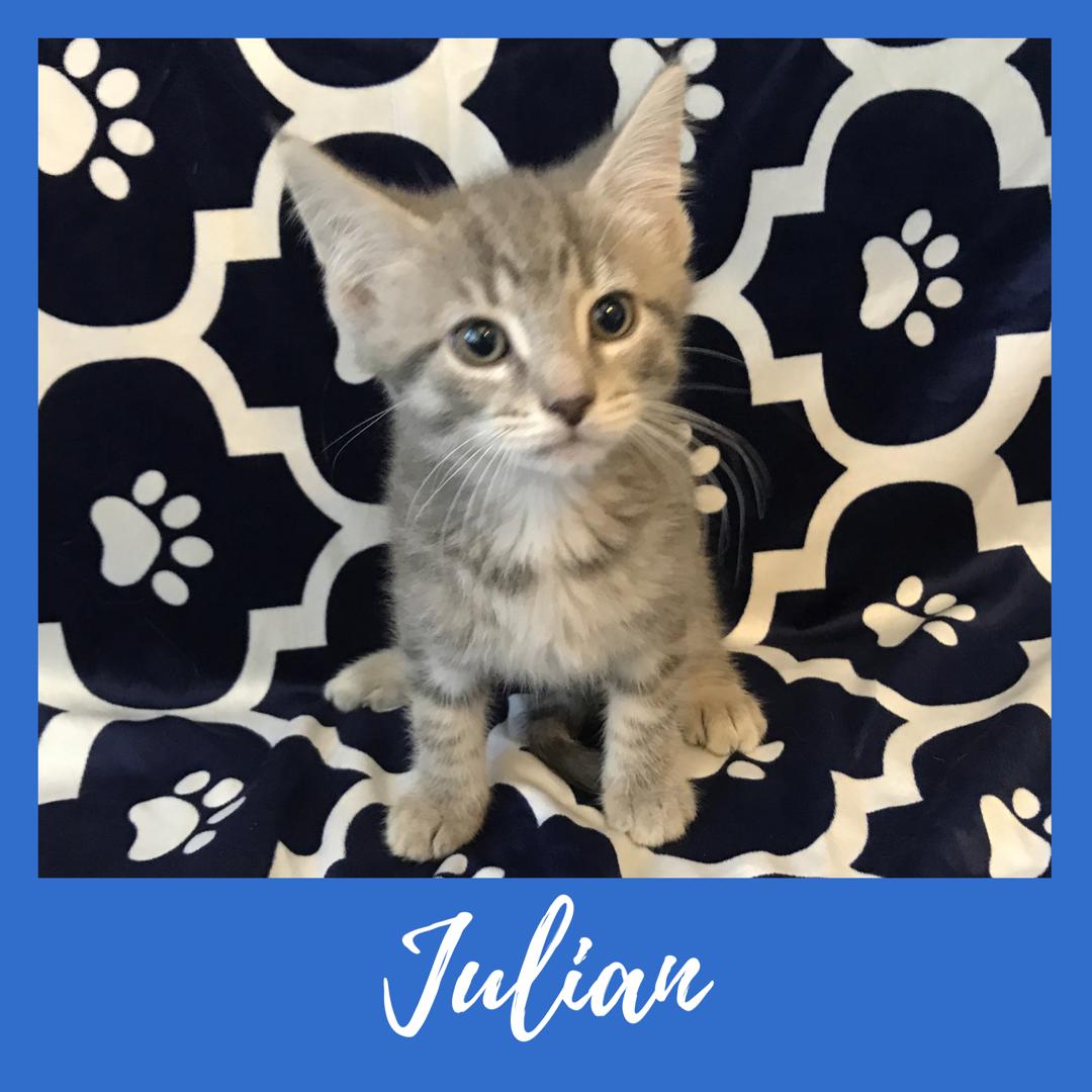 Julian