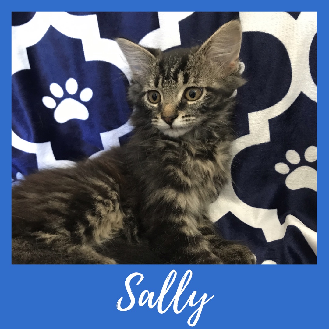 Sally