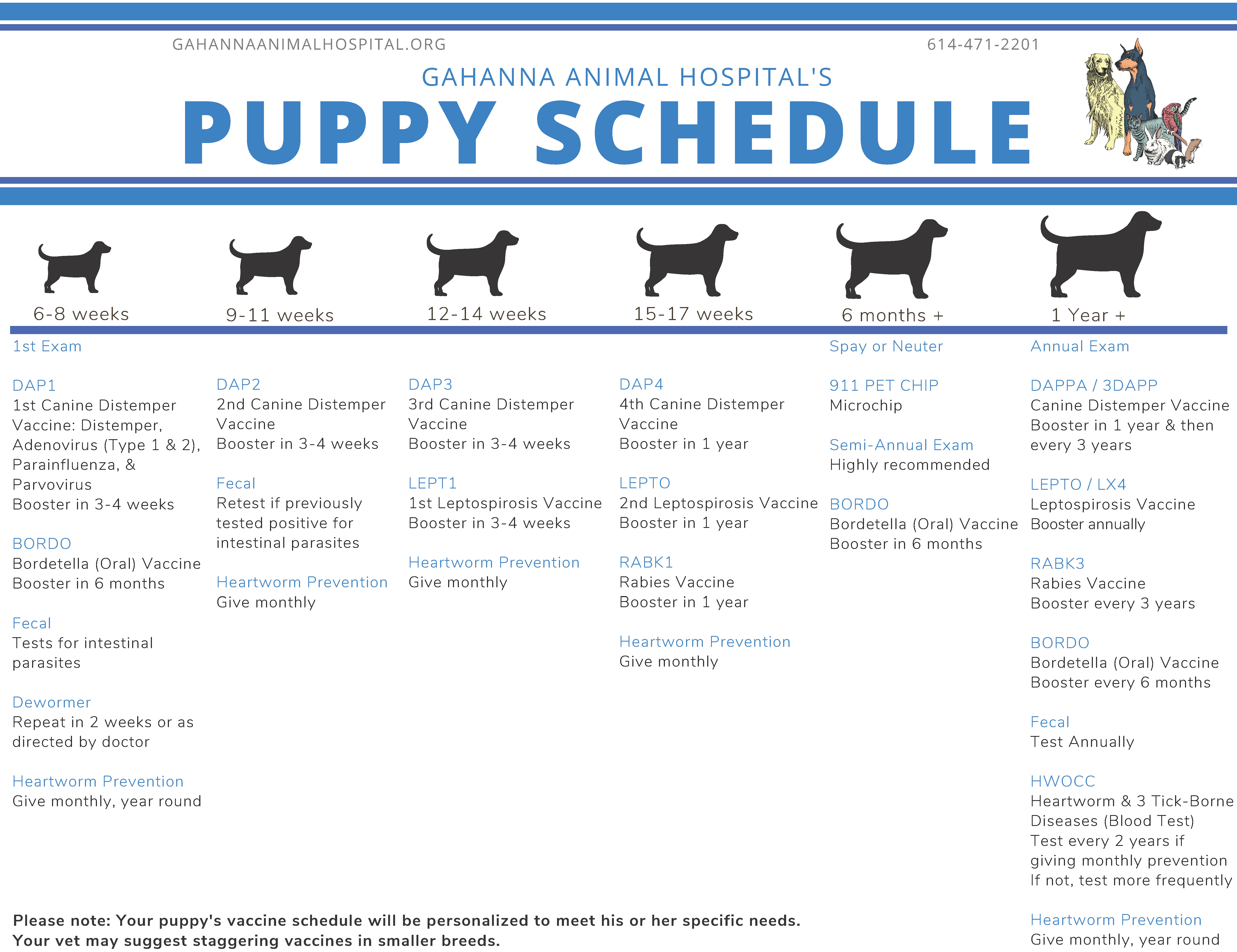 Dog Vaccination Schedule Pdf petfinder