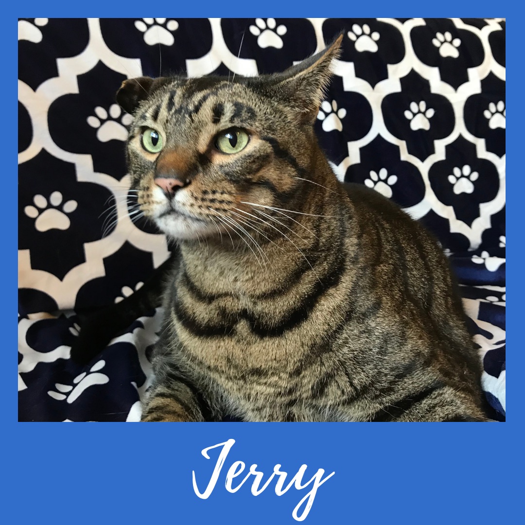 Jerry