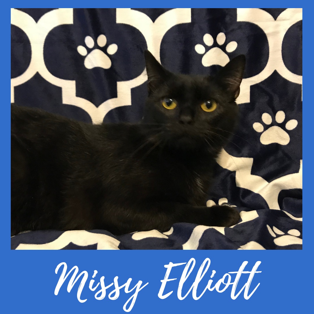 Missy Elliott