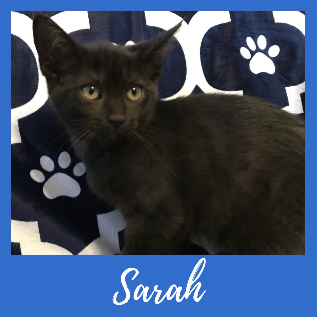 Sarah