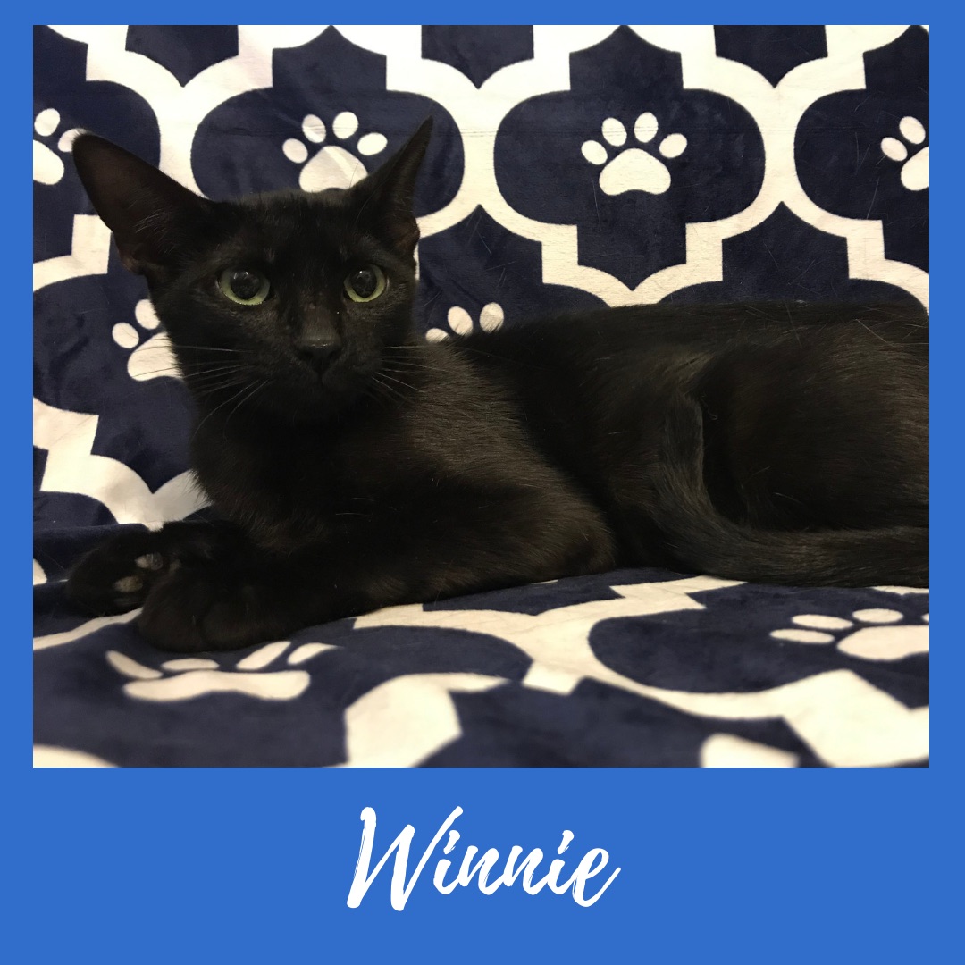 Winnie