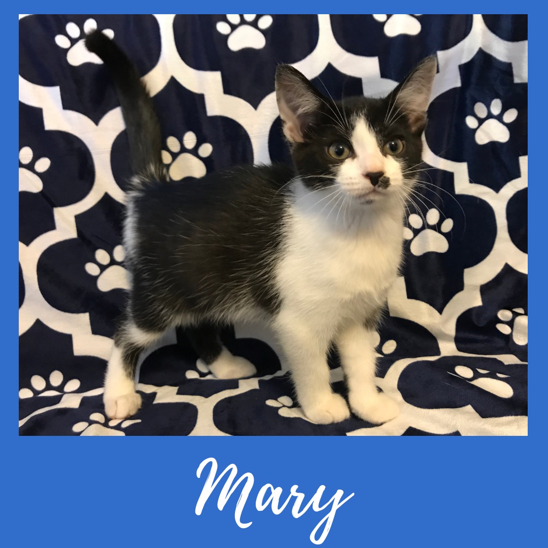 Mary