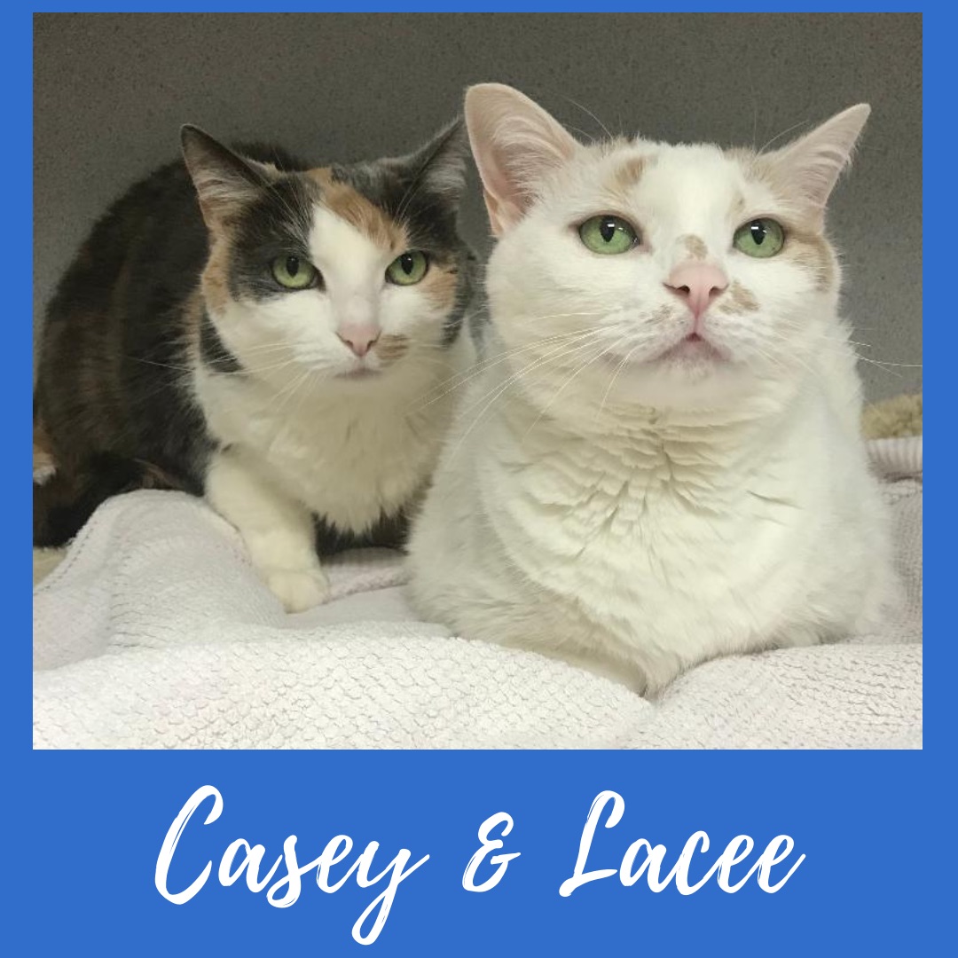 Casey & Lacee