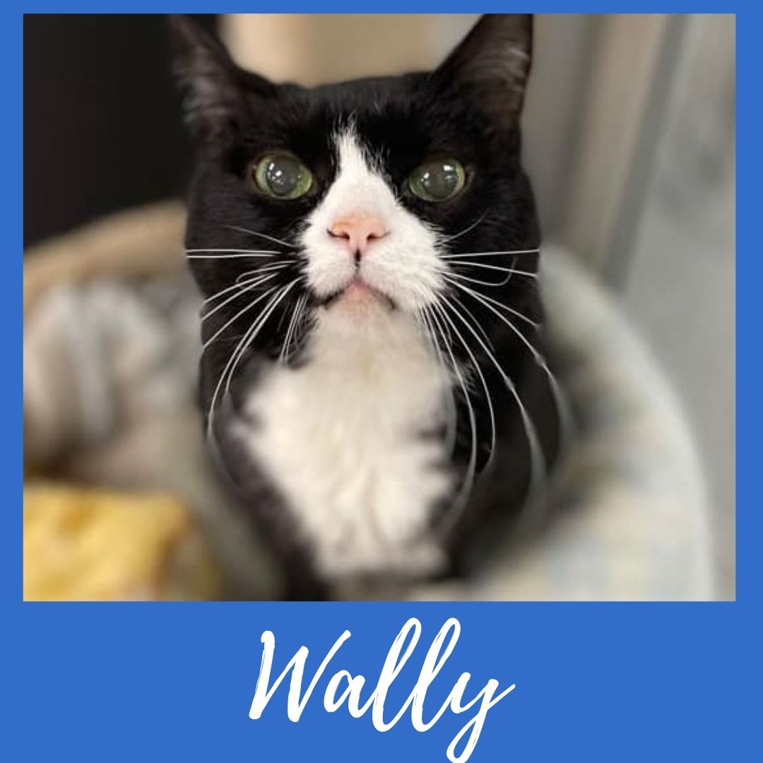 Wally
