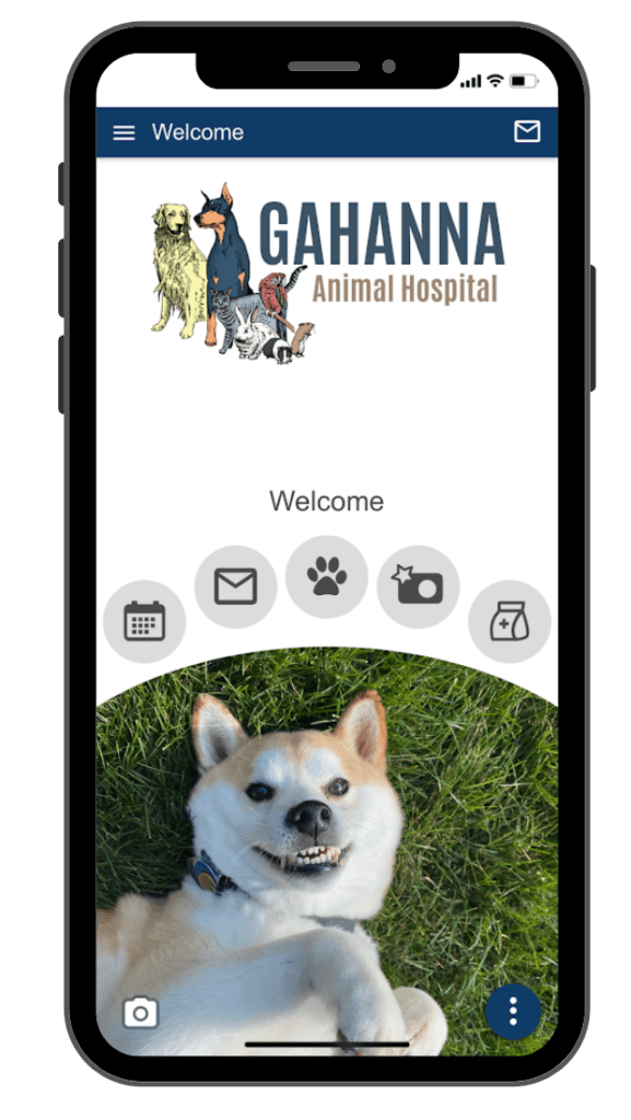 Gahanna, OH Veterinarian Gahanna Animal Hospital and Pet Boarding