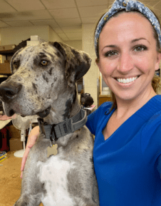 Gahanna Animal Hospital - Get To Know Your Gahanna Veterinarian