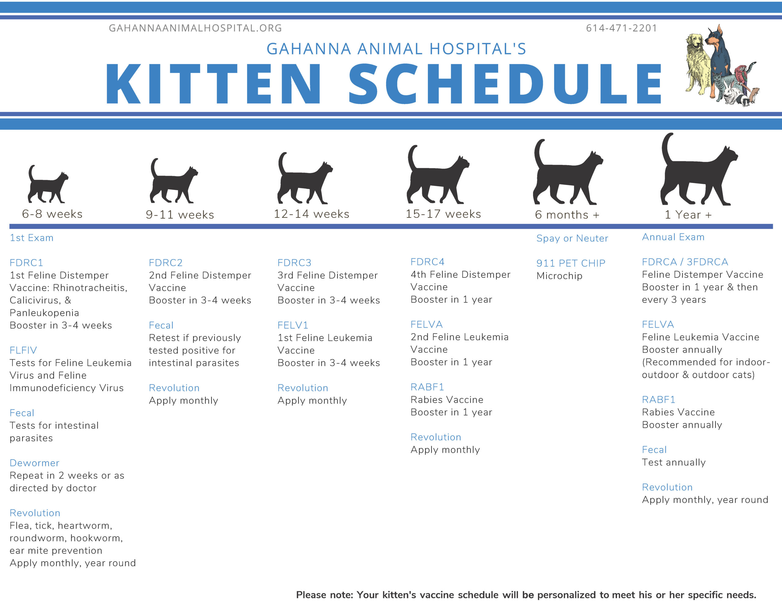 Gahanna Animal Hospital KITTEN schedule