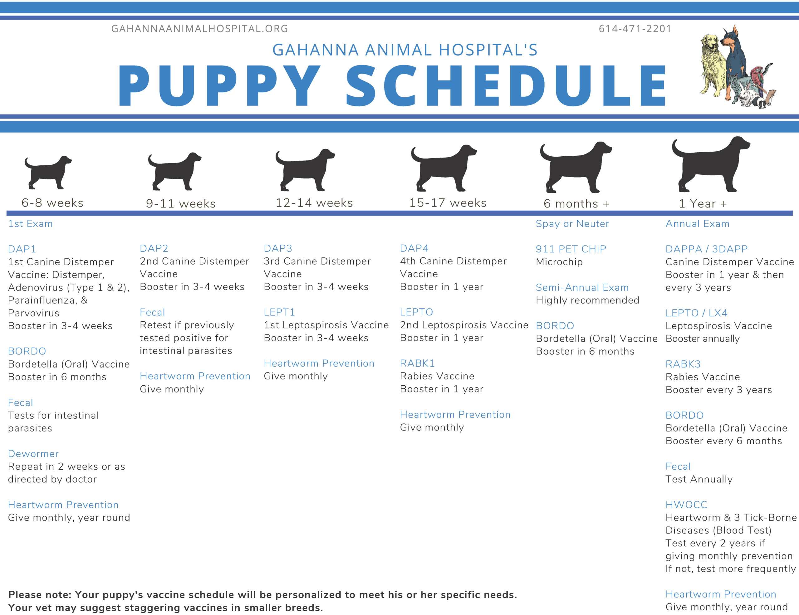 Gahanna Animal Hospital puppy schedule