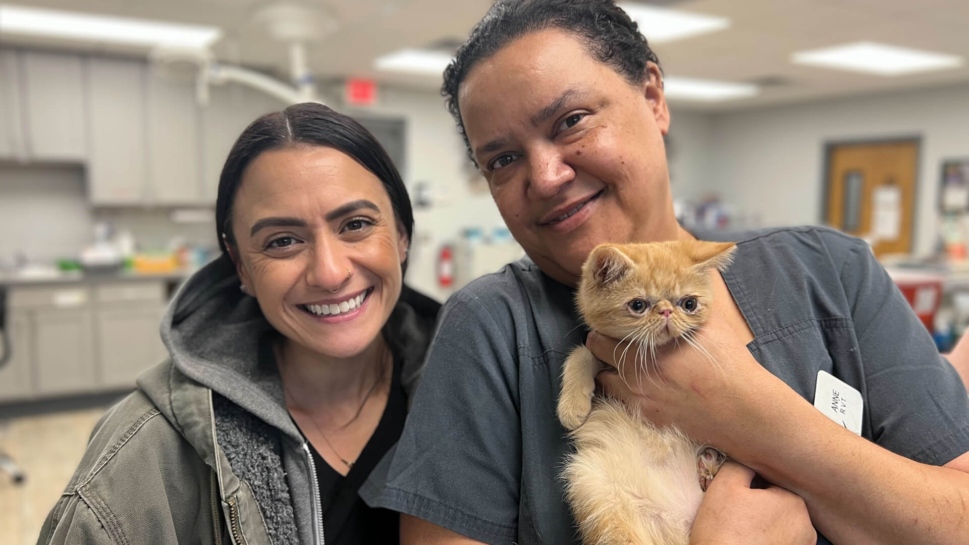 A vet in blue scrubs holds a cat in her arms