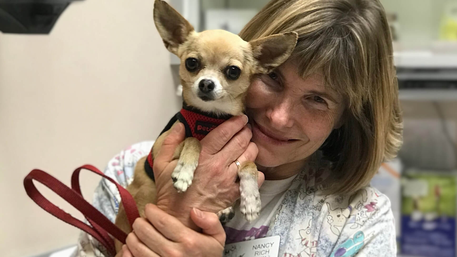 A vet petting a cute dog